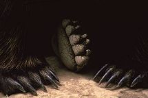 Photograph of a close up grizzly bear feet, photograph by Brent VanFossen